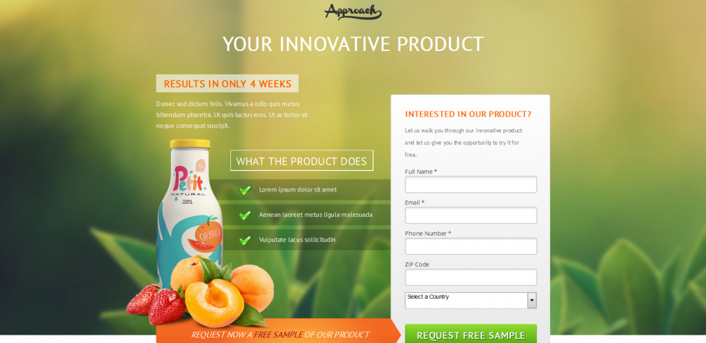 Landing Page Templates that Maximize Conversions 3 Approach Theme