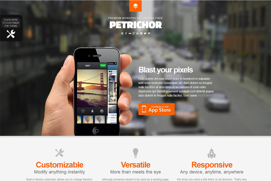 Landing Page Templates that Maximize Conversions 5 Petrichor Landing Page Templage