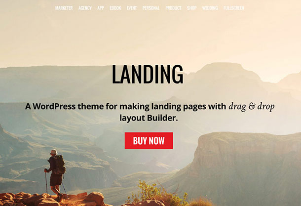 Landing Page Templates that Maximize Conversions 2 landing-page-theme