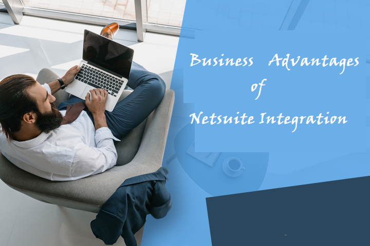 Beginners Guide to NetSuite Integration & Management 2 Business advantages